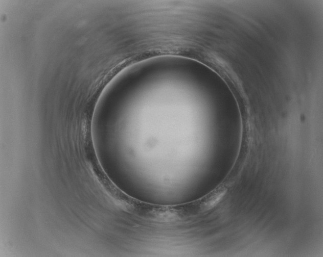 X0000055520113200509022134