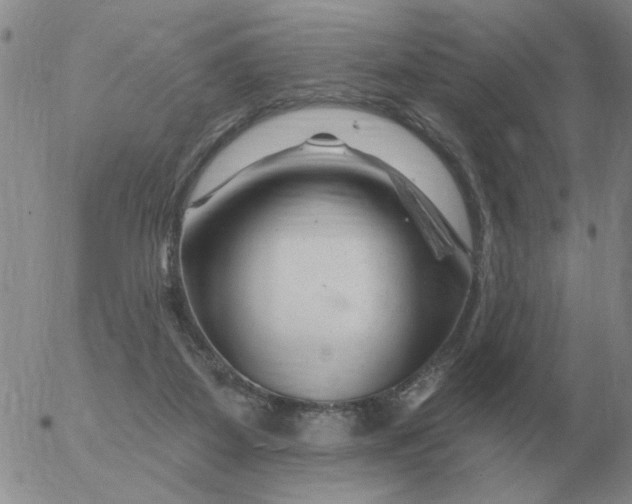 X0000055520115200509022134