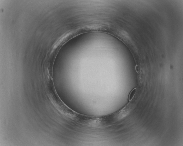 X0000055520116200509022134