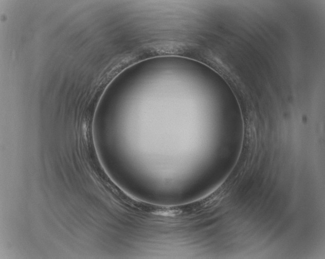 X0000055520117200509022134