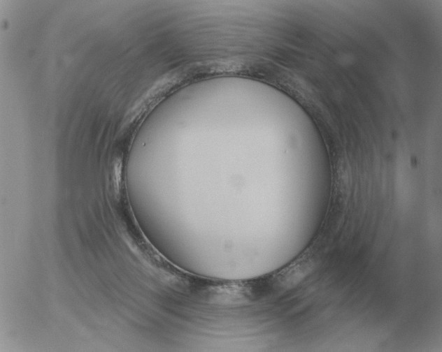 X0000055520118200509022134