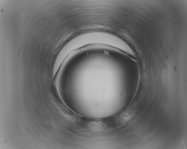 X0000055520119200509022134