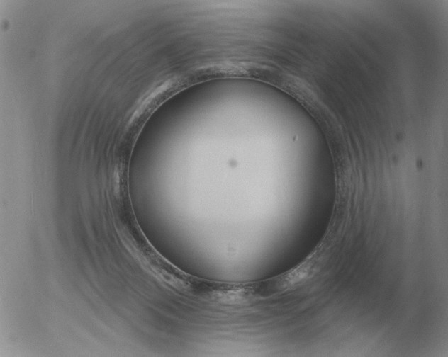 X0000055520120200509022133