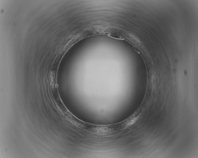 X0000055520121200509022133