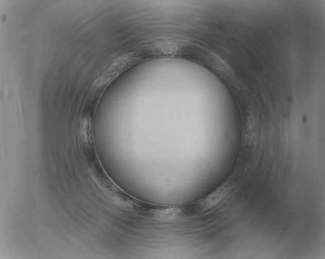 X0000055520122200509022133