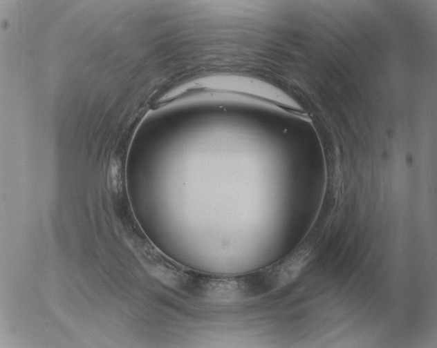 X0000055520123200509022133