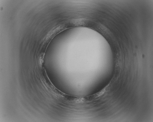 X0000055520124200509022133