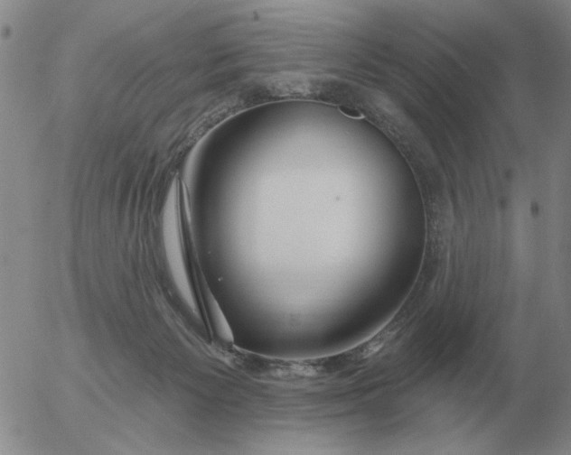 X0000055520125200509022133