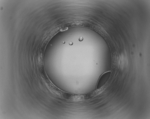 X0000055520126200509022133