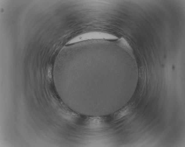 X0000055520127200509022133