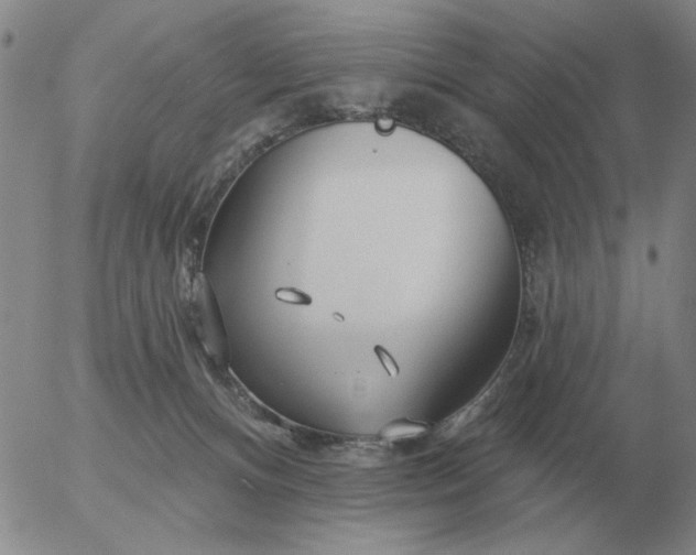 X0000055520128200509022133