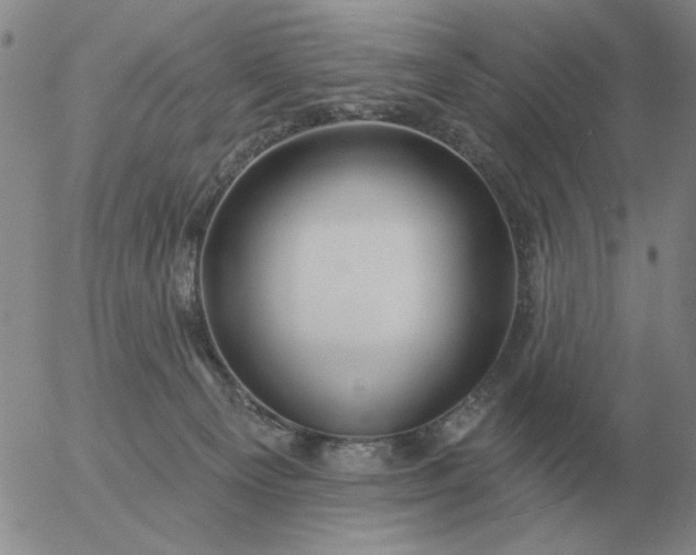 X0000055520129200509022133