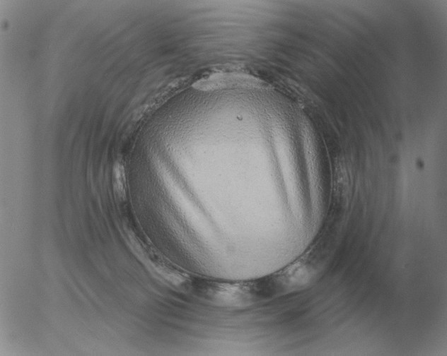 X0000055520130200509022133