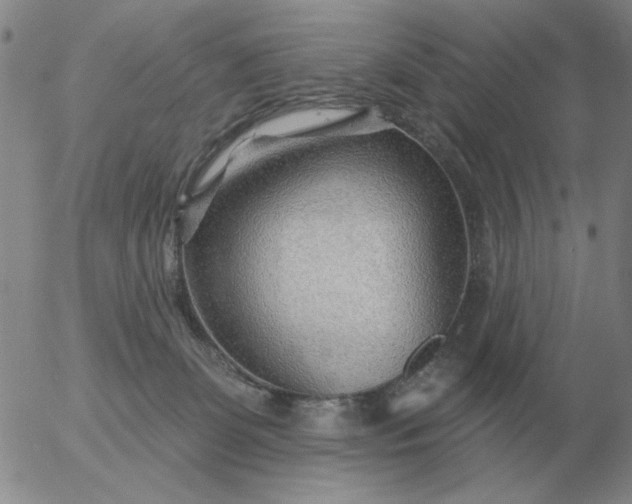 X0000055520131200509022133