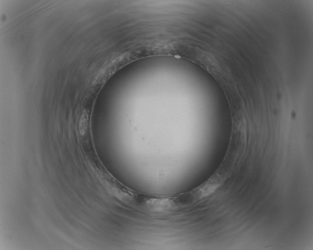 X0000055520133200509022133