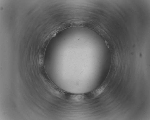 X0000055520135200509022133