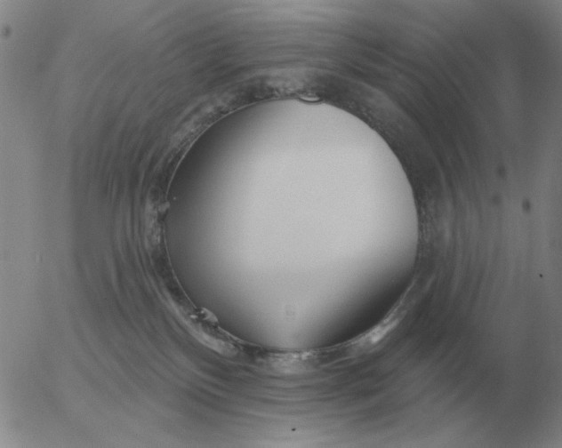 X0000055520136200509022133