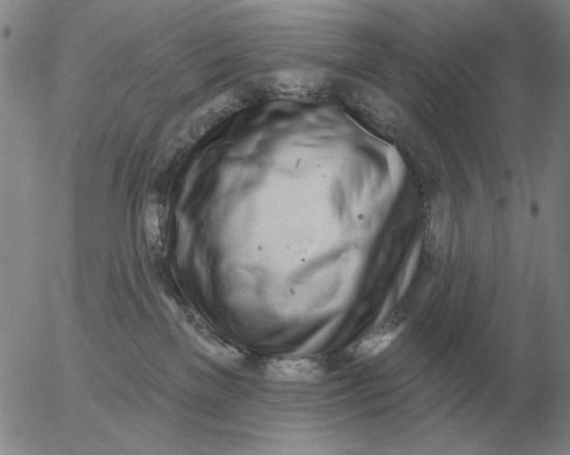 X0000055520137200509022133