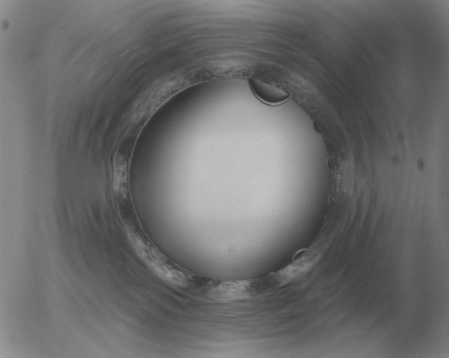 X0000055520138200509022133