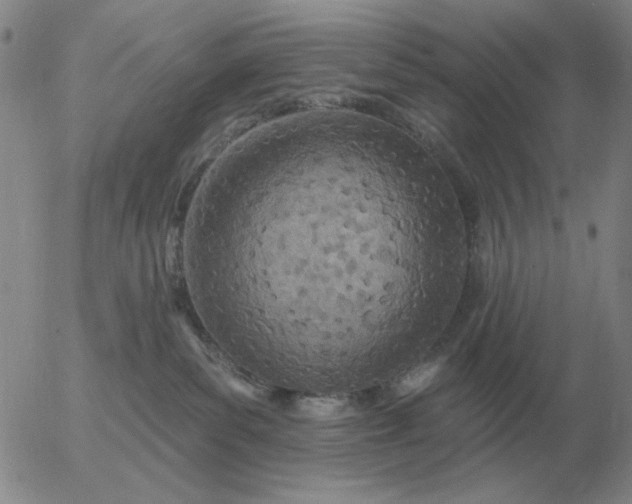 X0000055520139200509022133