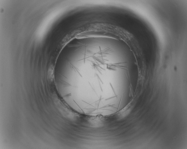 X0000055520142200509022133