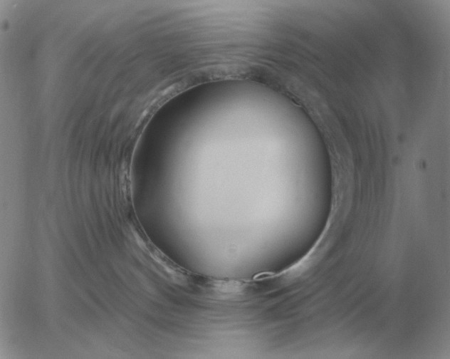 X0000055520144200509022133