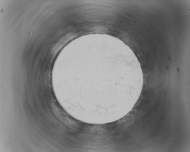 X0000055520146200509022132