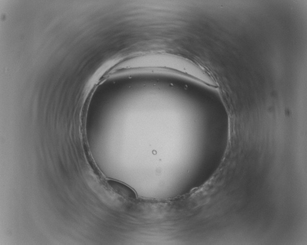 X0000055520147200509022132