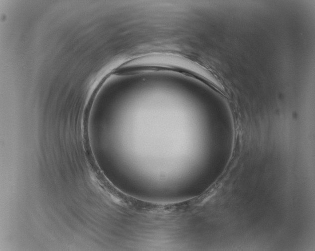 X0000055520148200509022132