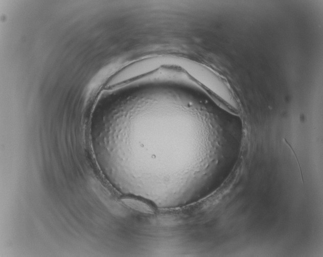 X0000055520149200509022132