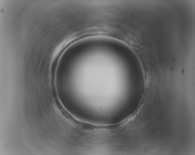 X0000055520150200509022132