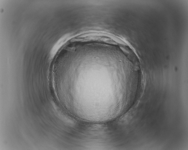 X0000055520151200509022132