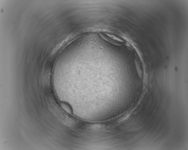 X0000055520153200509022132