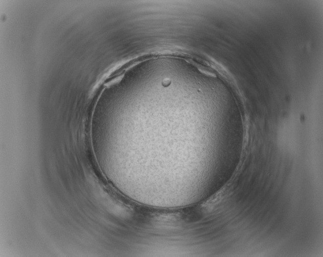 X0000055520155200509022132