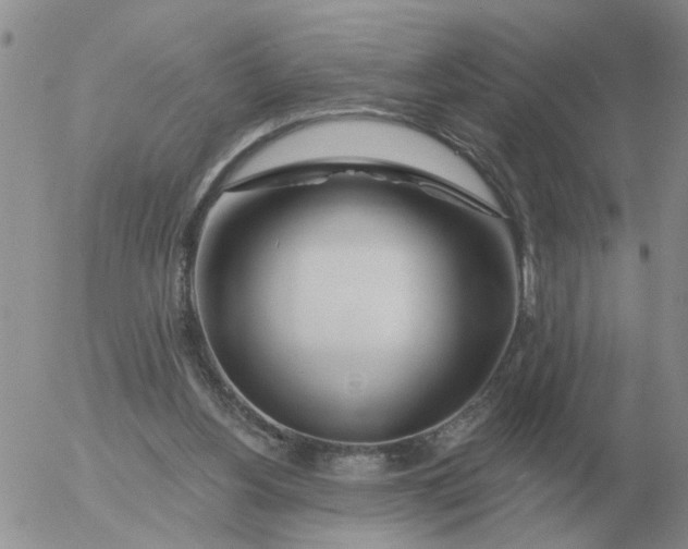 X0000055520156200509022132