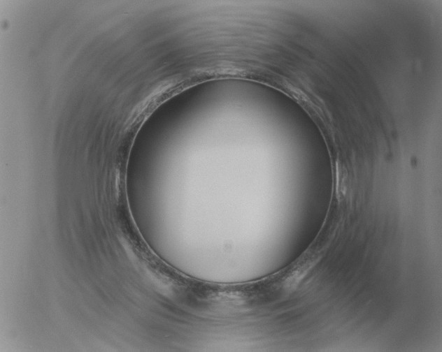 X0000055520157200509022133