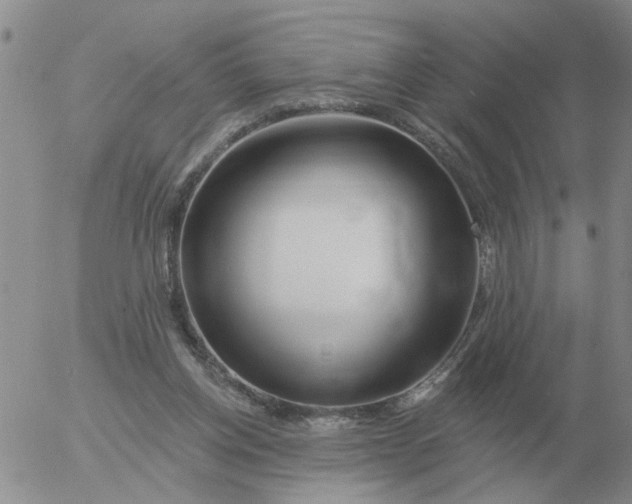 X0000055520158200509022133