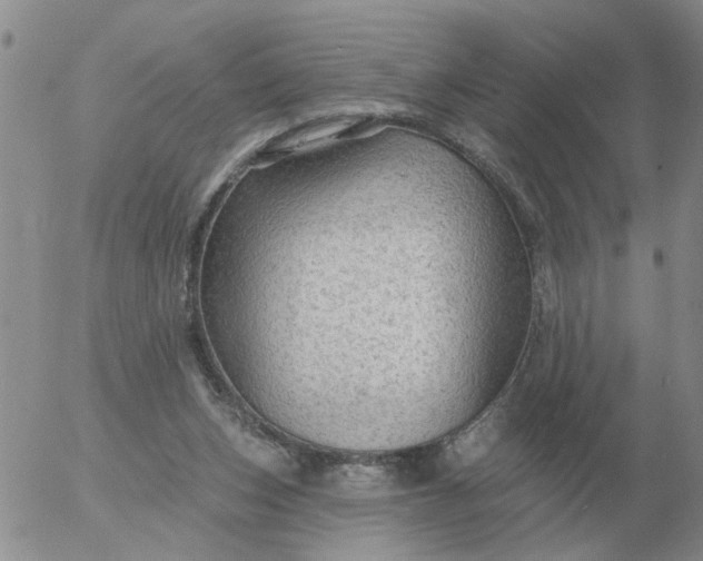 X0000055520159200509022133