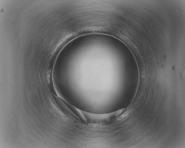 X0000055520160200509022133