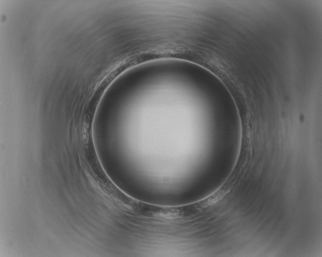 X0000055520164200509022133