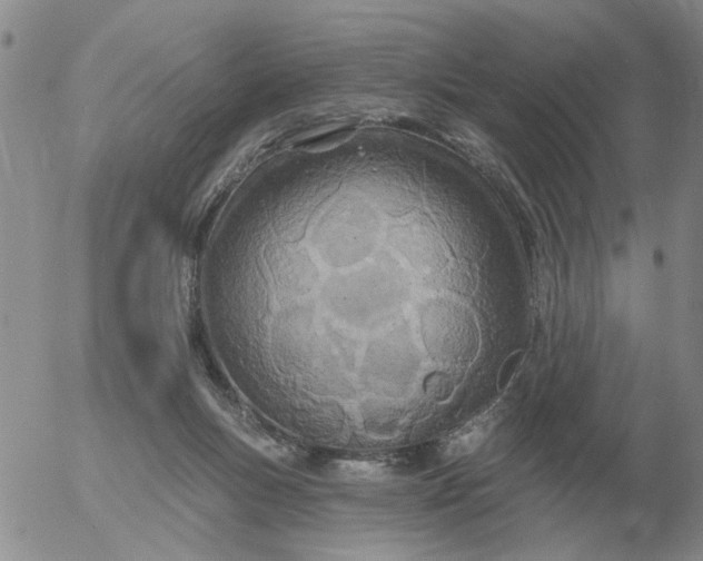 X0000055520167200509022133