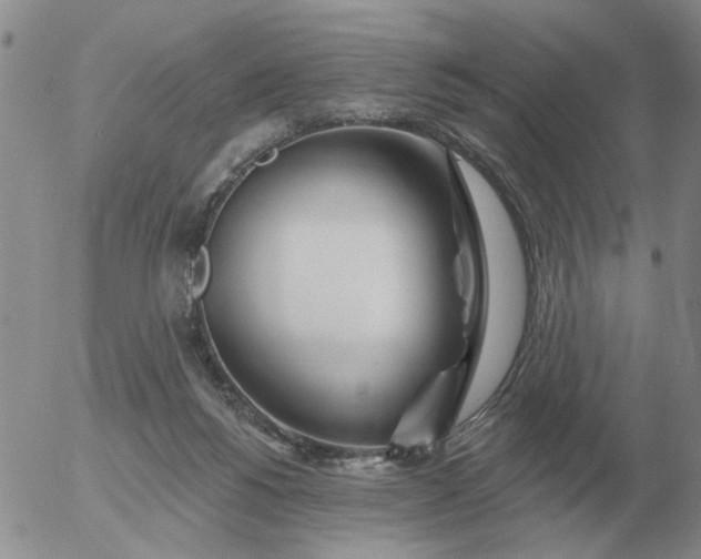 X0000055520168200509022133