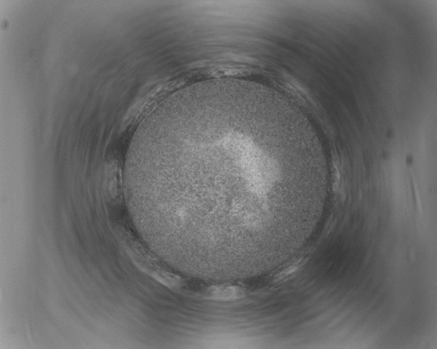 X0000055520169200509022133