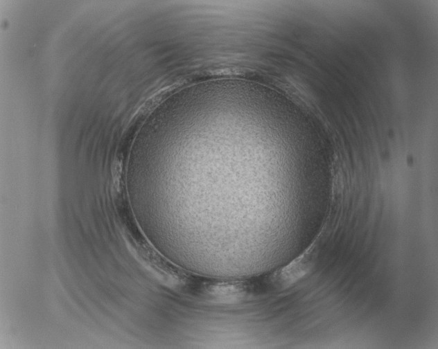 X0000055520171200509022133