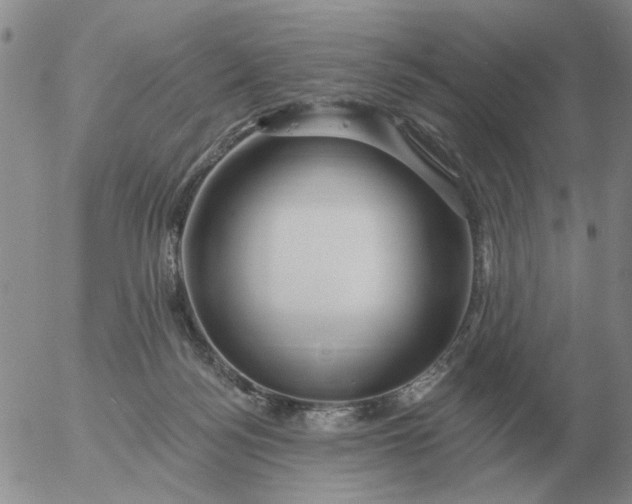 X0000055520172200509022133