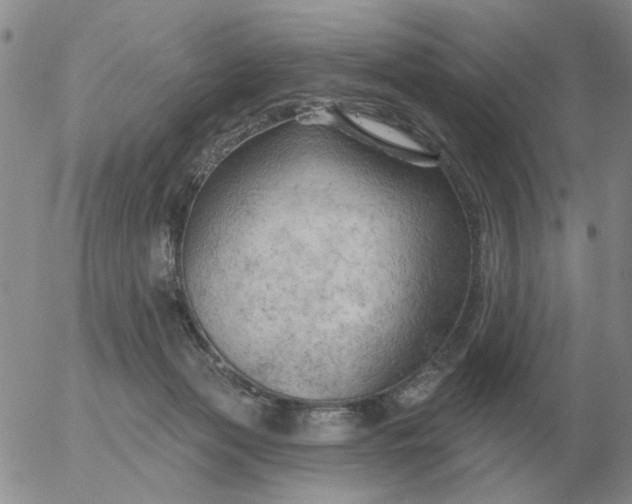 X0000055520173200509022133