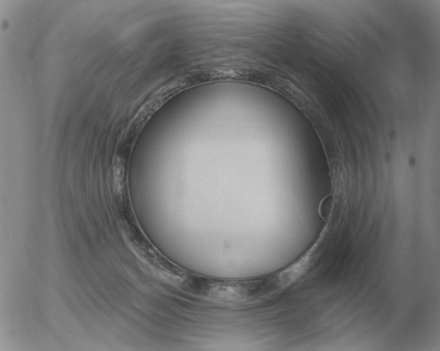 X0000055520174200509022133