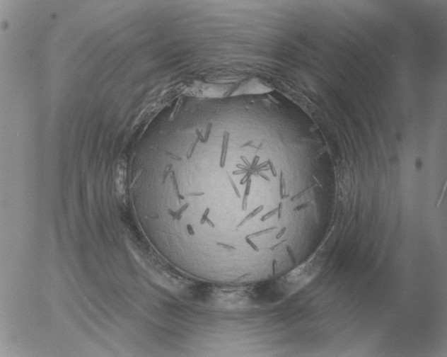 X0000055520175200509022133