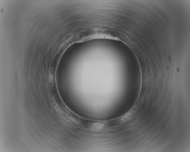 X0000055520176200509022133