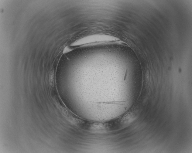 X0000055520177200509022133